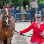 Lets Dance at Badminton 2015 © Trevor Holt