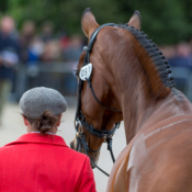 Lets Dance at Badminton 2015 © Trevor Holt