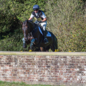 Cooley Master at Allerton Park 2016 © Trevor Holt