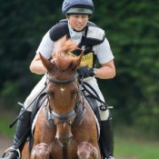 Forever Red at Somerford Park (2) 2015 © Trevor Holt