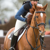 Ideal Sebastian at Burnham Market (1) 2015 © Trevor Holt