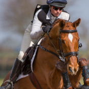 Ideal Sebastian at Lincolnshire 2015 © Trevor Holt