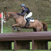 North Astor Rossco at Weston Park (1) 2015 © Trevor Holt