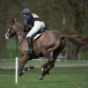 North Astor Rossco at Weston Park (1) 2015 © Trevor Holt