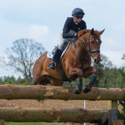 Forever Red at Burnham Market 2017 © Trevor Holt