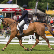 Forever Red at Bramham 2017 © Trevor Holt