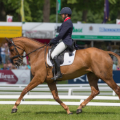 Forever Red at Bramham 2017 © Trevor Holt