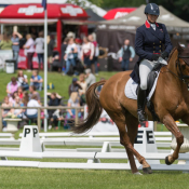 Forever Red at Bramham 2017 © Trevor Holt