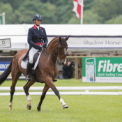 Lets Dance at Bramham 2017 © Trevor Holt