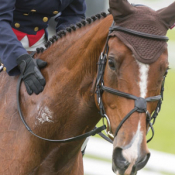 Lets Dance at Bramham 2017 © Trevor Holt