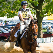 Tilston Tic Toc at Chatsworth 2014 © Callum Helm