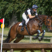 Brave Cavalier at Cholmondeley 2013: Photo Trevor Holt