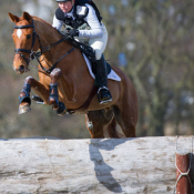 Ideal Sebastian at Burnham Market (1) 2013: Photo Trevor Holt