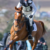 Ideal Sebastian at Burnham Market (1) 2013: Photo Trevor Holt