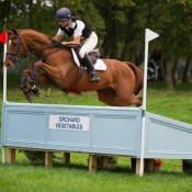 Ideal Sebastian at Allerton Park 2014 © Trevor Holt