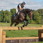 Kec Salza at Allerton Park 2013: Photo Trevor Holt