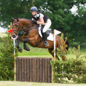 Stormbays Delight at Catton Park 2014 © Trevor Holt