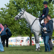 Touchy Lady at Houghton 2014 © Trevor Holt