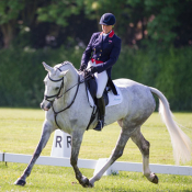 Touchy Lady at Houghton 2014 © Trevor Holt