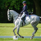 Touchy Lady at Houghton 2014 © Trevor Holt