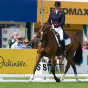 Lets Dance at Bramham 2013: Photo Trevor Holt