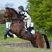 Tilston Tic Toc at Burnham Market (1) 2014 © Trevor Holt