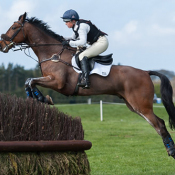 Tilston Tic Toc at Burnham Market (1) 2014 © Trevor Holt