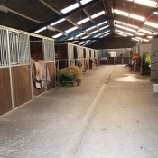 Stables