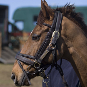 Burnham Market 2008: Photo TM