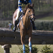 Burnham Market 2008: Photo TM