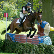 Brave Cavalier at Chatsworth 2011: Photo Trevor Holt