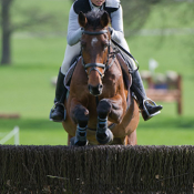 Brave Cavalier at Weston Park (1) 2011: Photo Trevor Holt