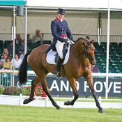 Chill Out Bob at Burghley 2010: Photo Trevor Holt