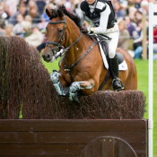 Chill Out Bob at Burghley 2012: Photo Trevor Holt