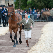 Chill Out Bob at Badminton 2010: Photo Trevor Holt