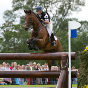 Chill Out Bob at Burghley 2010: Photo Trevor Holt