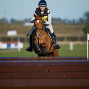 Ideal Sebastian at Lincoln 2012: Photo Trevor Holt