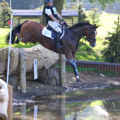 Lets Dance at Houghton 2012: Photo Fiona Scott-Maxwell