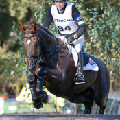 Hope Cove at Boekelo 2010: Photo Trevor Holt