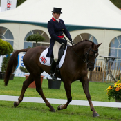 Hope Cove at Boekelo 2010: Photo Trevor Holt