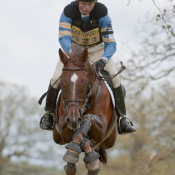 Hope Cove at Chatsworth 2010: Photo Trevor Holt