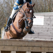 Hope Cove at Lincoln 2010: Photo Trevor Holt