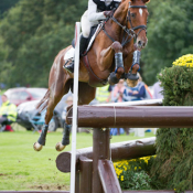 Ideal Sebastian at Burghley 2012: Photo Trevor Holt