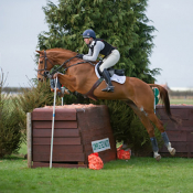 Ideal Sebastian at Lincoln 2011: Photo Trevor Holt