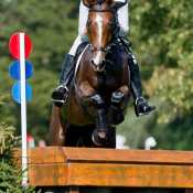 Lets Dance at Blenheim 2012: Photo Trevor Holt