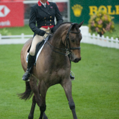 Major Buck at Badminton 2010: Photo Trevor Holt