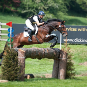 Take It 2 The Limit at Bramham 2010: Photo Trevor Holt