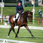 Take It 2 The Limit at Bramham 2010: Photo Trevor Holt