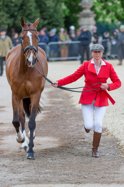 Jeanette Brakewell (GBR) and Lets Dance